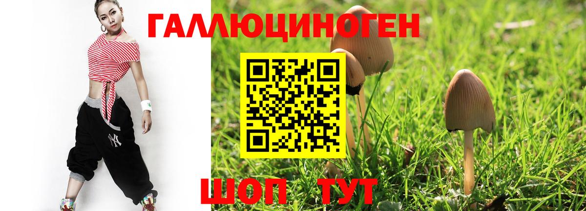 Псилоцибиновые грибы GOLDEN TEACHER Нефтекумск