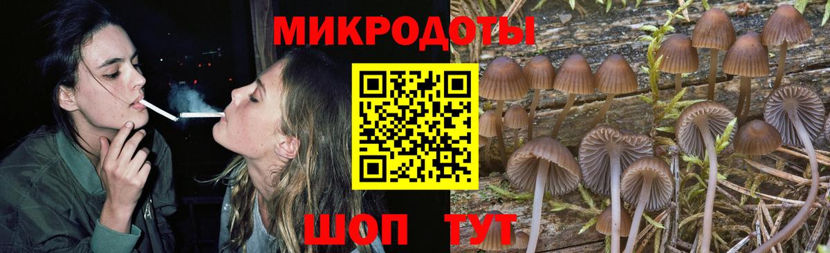 Нефтекумск  Псилоцибиновые грибы Magic Shrooms  Вход с VPN 
